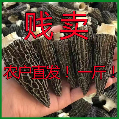 特价云南特产干货羊肚菌