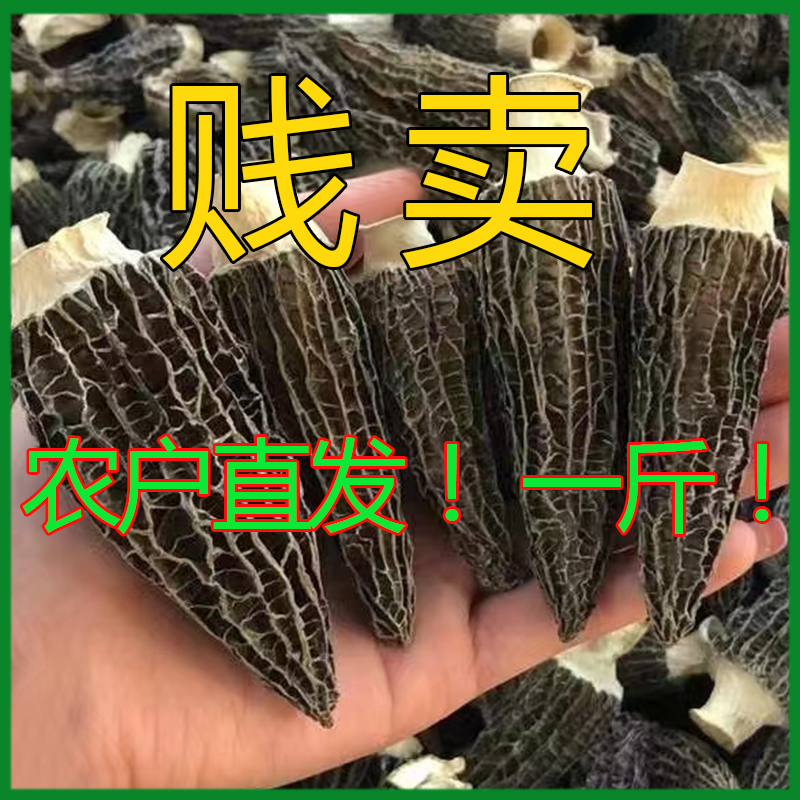 羊肚菌特级干货特价批发