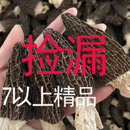 捡漏7以上特级剪柄羊肚菌野生干羊肚菌煲汤500g云南特产新鲜干货