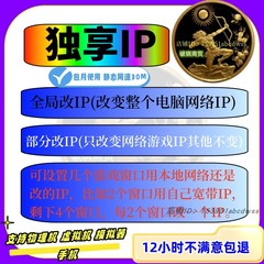 改Ip软件 防封ip sk5游戏单窗口  模拟器IP端游手游天龙八部老鱼