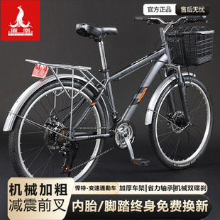 凤凰通勤自行车男款 城市轻便代步变速碟刹减震轻便骑单车 成人女款