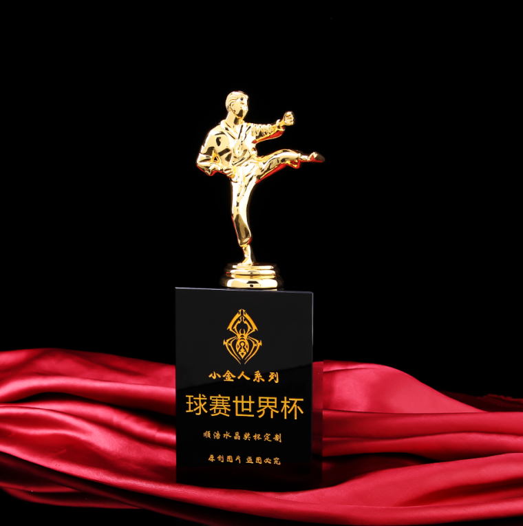 水晶奖杯定制 金属奖杯 跆拳道创意奥斯卡小金人模特选美奖