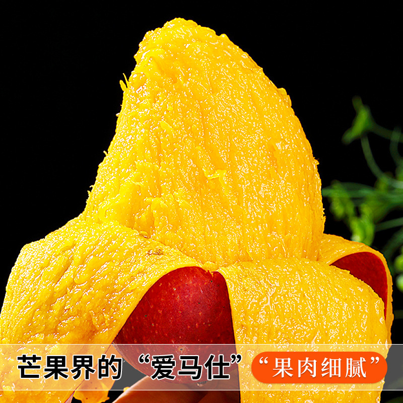 海南贵妃芒斤新鲜芒果水果当季树
