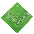 C13-03-20 Grass Green 658718