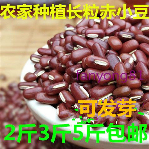 新精选野生赤小豆农家5斤装包邮长粒红豆薏米 小粒赤豆可发芽