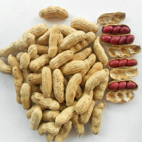 25年新货 250克带壳红皮花生农家自产 4四粒红红衣生米花生
