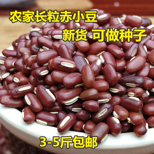 赤小豆农家长粒赤豆红豆新货种子