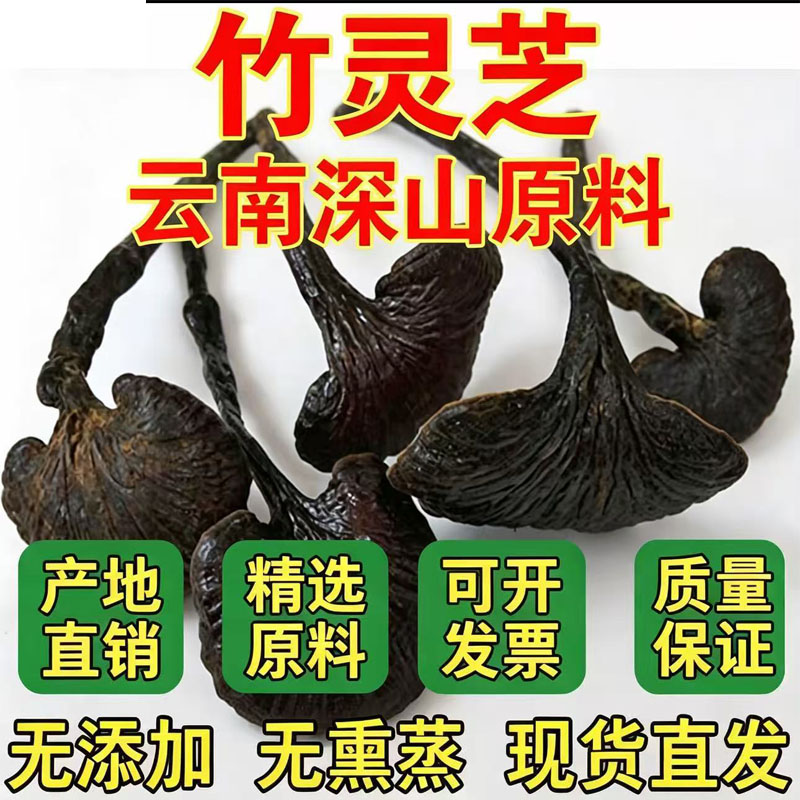 云南深山采摘天然长颈非野生正品竹灵芝小红灵芝紫灵芝精选500g
