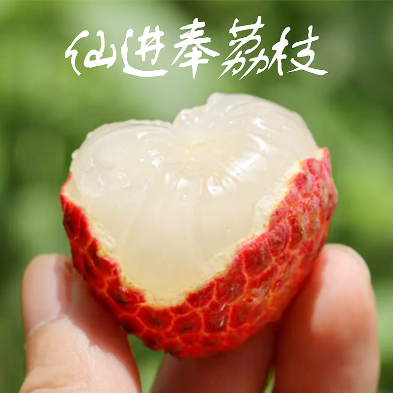 荔枝仙进奉荔枝灵山荔枝新鲜包邮当季水果现摘现发果农直销5斤
