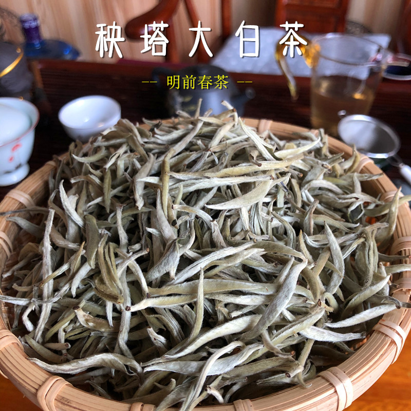 白龙须贡茶 云南大白毫 秧塔大白茶 明前春茶 单芽茶  100g
