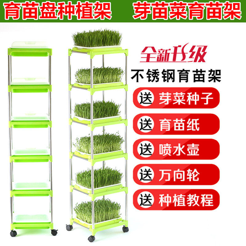 育苗盘种植架加密托盘豆芽盘小麦苗种植水培架子阳台种菜盆塑料盆