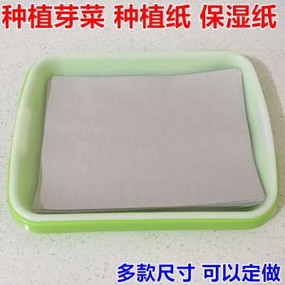 种植新闻纸育苗盘