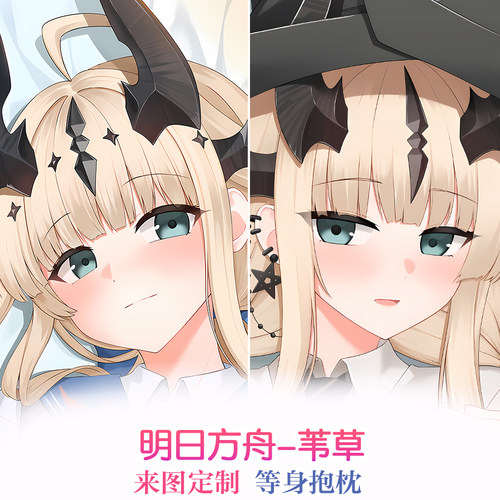 明日方舟苇草周边人形抱枕定制来图定做长条等身枕头2way双面枕套