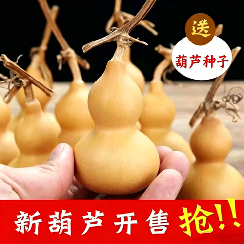 精品手捻葫芦天然文玩用品