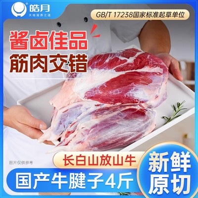 皓月金钱腱牛腱子牛腿肉精选牛肉
