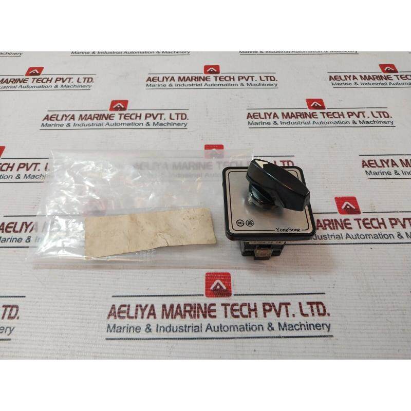 原装供应Yongsung C-60（旋转）绘图器 10A 250VAC