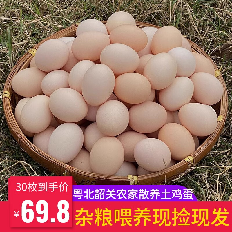 农村散养土鸡蛋新鲜30枚韶关正宗野外放养天然草鸡蛋柴鸡蛋笨鸡蛋
