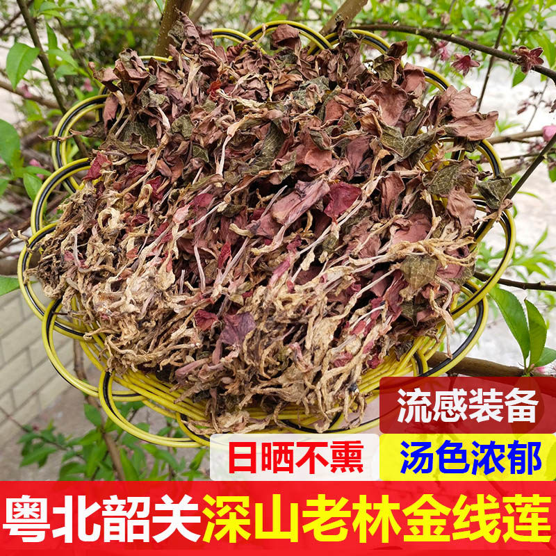 韶关深山老林金线莲50克