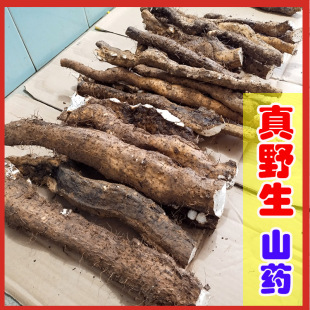 广东韶关纯野生山药新鲜粉糯深山野山药老山薯怀山土淮山真空包装