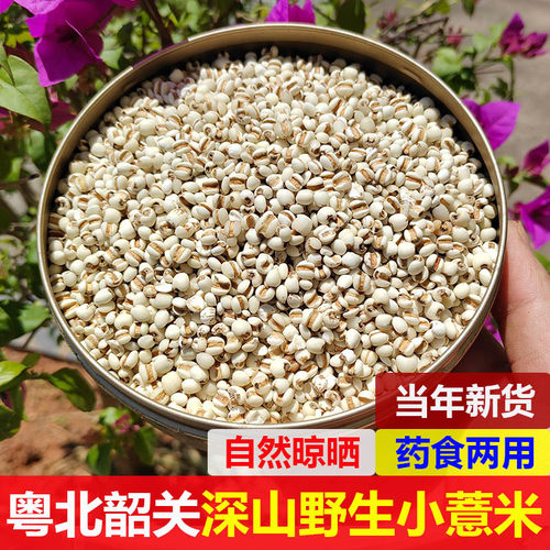 广东韶关小薏米农家自产自销