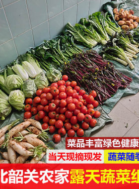 粤北韶关农家当季时令有机肥混合蔬菜南瓜白菜萝卜莴笋西红柿菜心