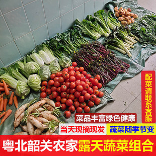 粤北韶关农家当季时令有机肥混合蔬菜南瓜白菜萝卜莴笋西红柿菜心