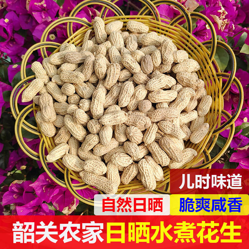 广东韶关农家盐水带壳水煮花生自然晒干农家白玉日晒煮熟咸干包邮