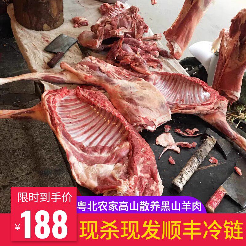 广东韶关黑山羊高山放养农家新鲜现杀现卖土山羊排带皮羊肉羊骨头