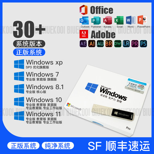 纯净专业版重装系统U盘