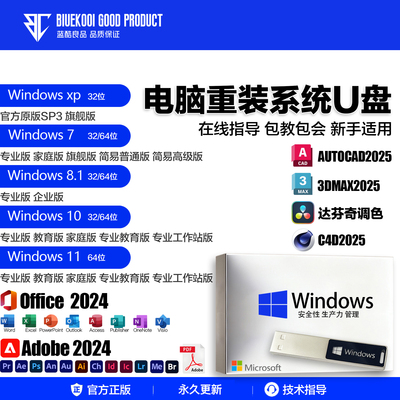 纯净专业版重装系统U盘