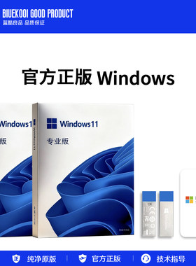 正版Win11专业版重装U盘纯净
