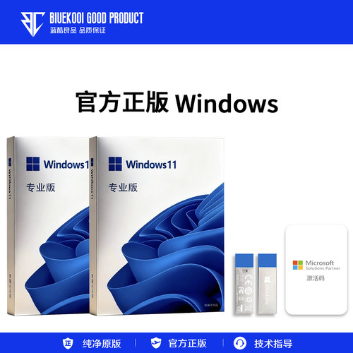 正版Win11专业版重装U盘纯净