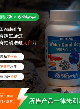 英国进口Waterlife内外寄龙虎魟观赏鱼大白片蛀鳞趴缸头洞