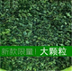 乌龙茶叶浓香清香型新茶角大颗粒秋茶 包邮 品叠 铁观音500g散装