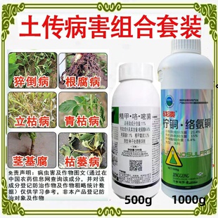 精甲霜灵咯菌腈嘧菌酯柠铜络氨铜番茄青枯草莓槟榔大姜枯萎根腐病