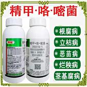 精甲霜灵咯菌腈晴嘧菌酯大姜基茎腐病病根腐病精甲咯嘧菌杀菌剂