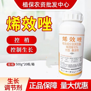 剑牌10%烯效唑柑橘树控梢水稻控制生长希稀效唑生长调节剂剑丰园