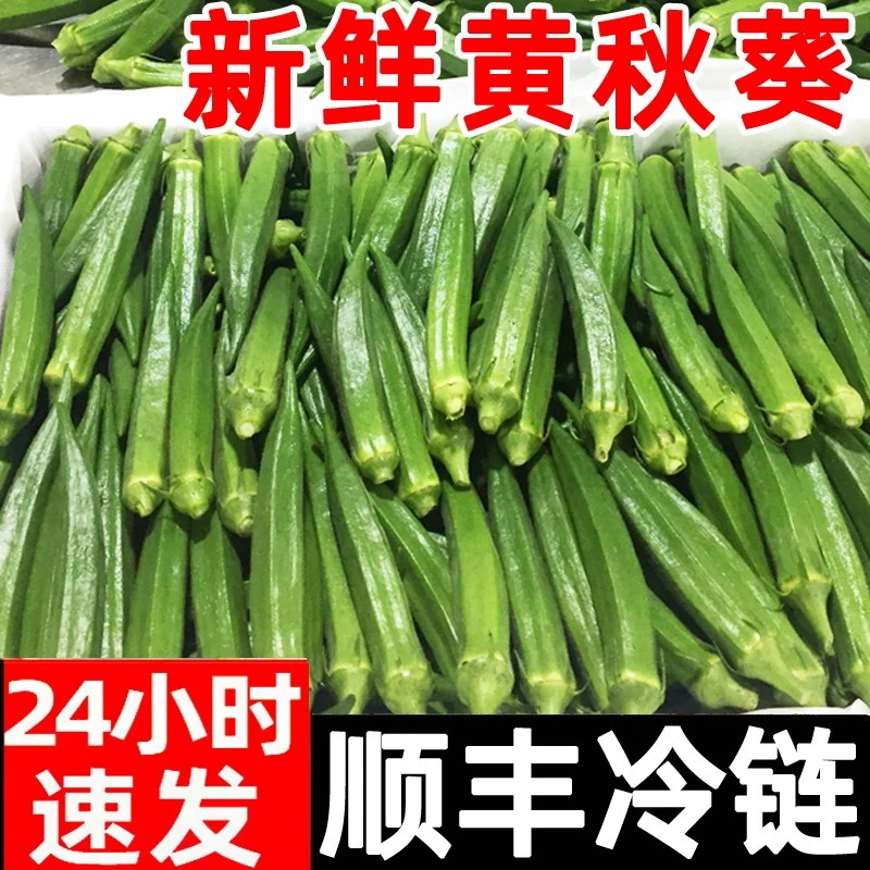 水果黄秋葵顺丰应季六角豆批发