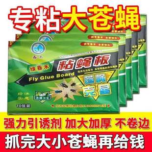 家用大号强力粘蝇板高效捕虫胶纸餐饮专用蚊子诱饵苍蝇贴实用