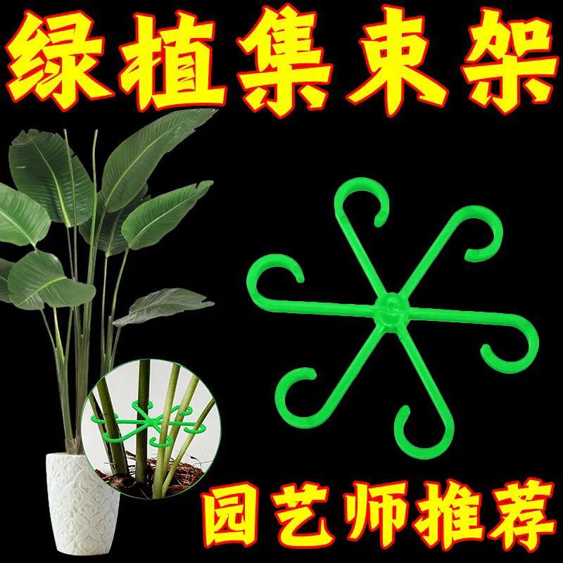 龟背竹支撑固定器防倒伏春羽支架水培枝干花园爬藤架花盆稳定器实
