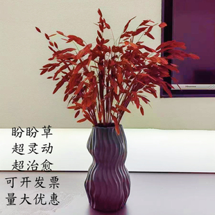 干花花束真花天然高级感干花北欧风客厅摆设花瓶永生花小盼草装饰