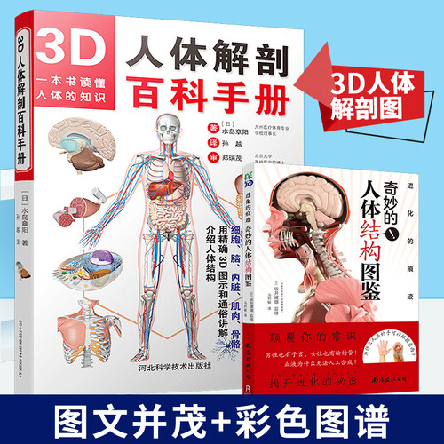 3D人体解剖百科手册人体结构图鉴