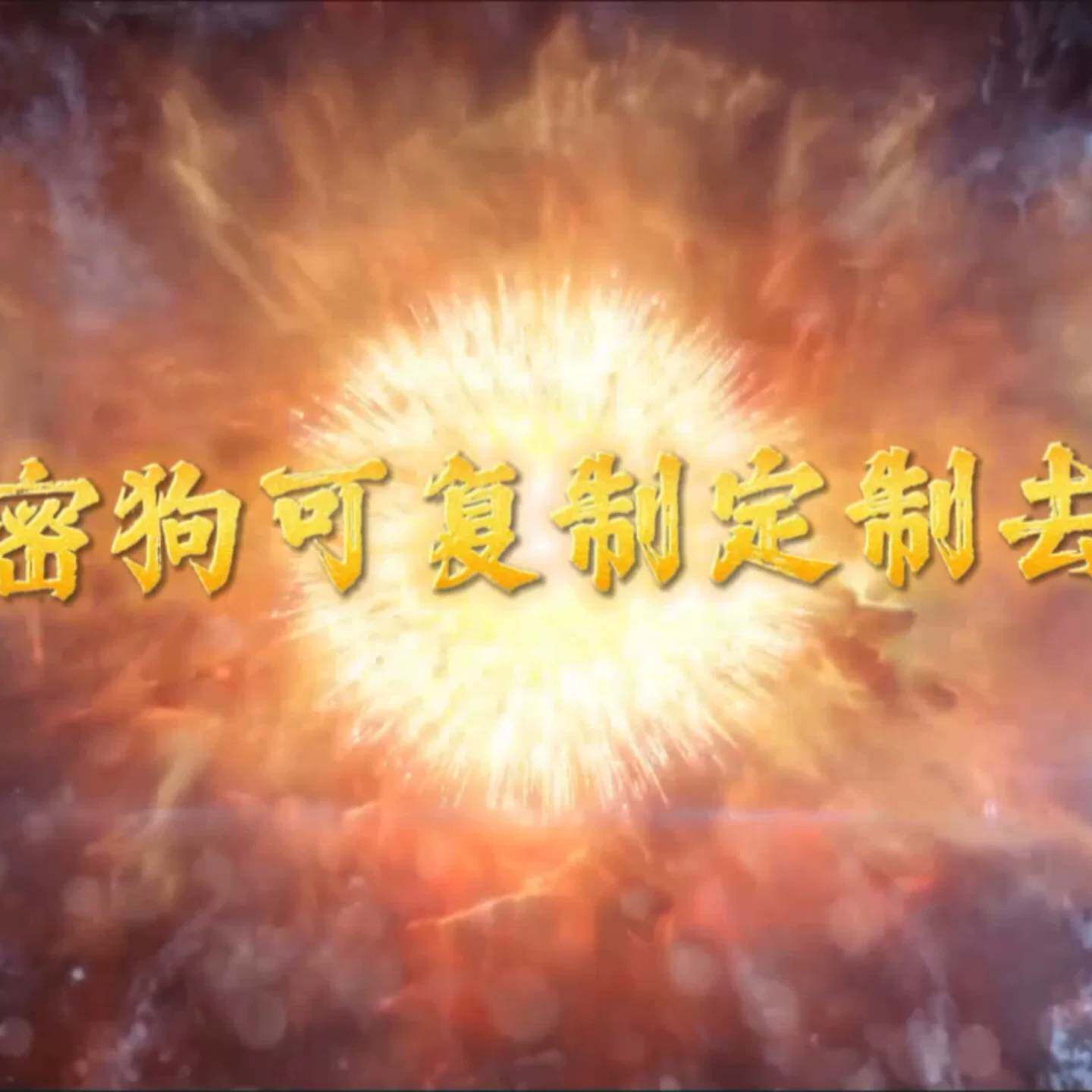 可维修赛孚耐 圣天诺 LDK 其它元器件