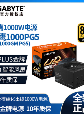 技嘉电源台式电脑额定1000W全模组金牌电源 UD1000GM PG5魔鹰2.0