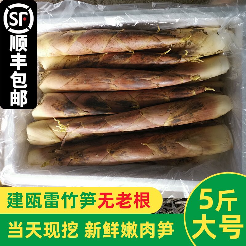 笃鲜笋,鲜笋_大山谷图库
