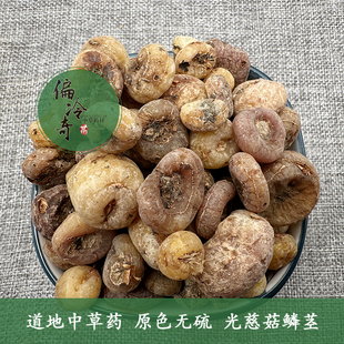 偏冷奇中草药材山茨菇 老鸦瓣 冰球子 人头七 光慈菇250g光菇包邮