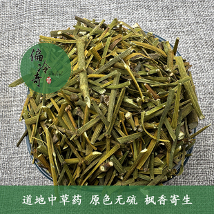 道地中草药材枫香寄生螃蟹夹 桐树寄生 桑寄生科属扁枝槲寄生500g