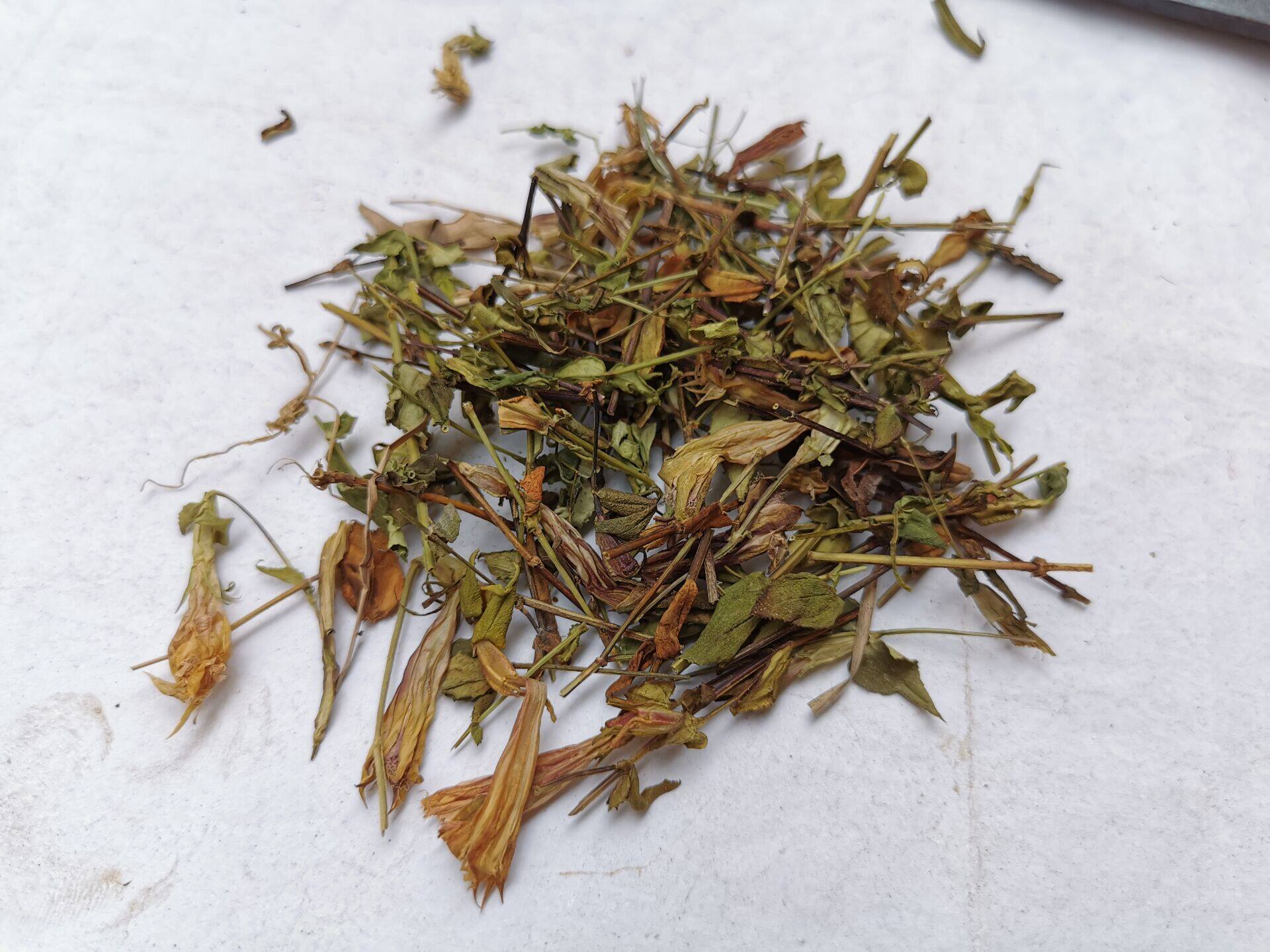 红花龙胆草中药材500克 青叶胆中草药 小青鱼胆星秀花