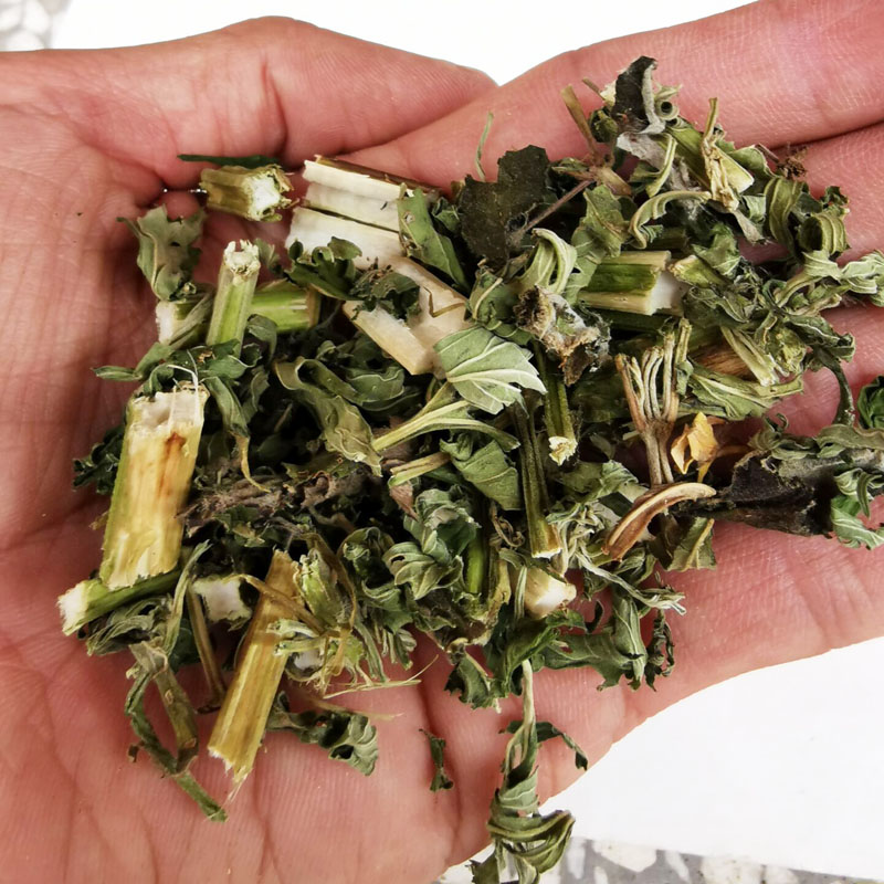野生益母草茶中药材益母草新鲜晒干月母草500克 泡脚泡水 可磨粉