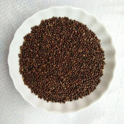 中药材车前子500克泡水泡茶
